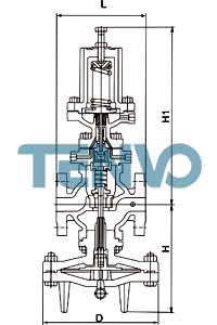 DN15～DN50口徑25P蒸汽減壓閥結(jié)構(gòu)圖