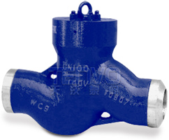 H61Y電站焊接式止回閥實物圖