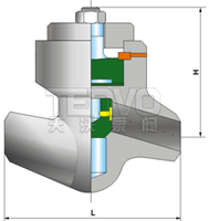 H61Y電站焊接式止回閥結(jié)構(gòu)圖